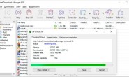 Internet Download Manager (IDM) 下载神器