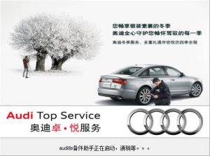 汽配助手 audi8s