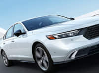 本田的雅阁与英仕派